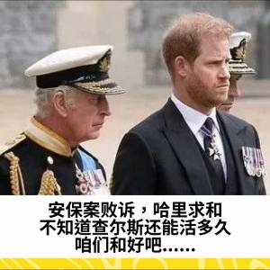 安保案败诉，哈里求和：不知道查尔斯还能活多久，咱们和好吧......