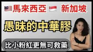馬來西亞｜新加坡愚昧無知的中華膠｜比小粉紅更加無可救藥｜
