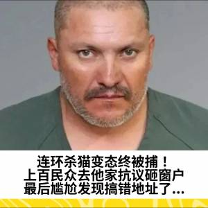 连环杀猫变态终被捕！上百民众去他家抗议砸窗户，最后尴尬发现搞错地址了...