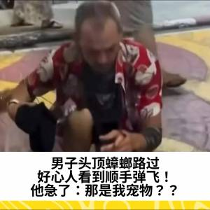 男子头顶蟑螂路过，好心人看到顺手弹飞！他急了：那是我宠物？？