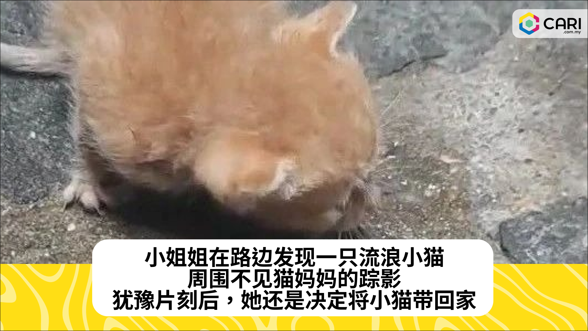 小姐姐在路边发现一只流浪小猫，周围不见猫妈妈的踪影，犹豫片刻后，她还是决定将小猫带回家