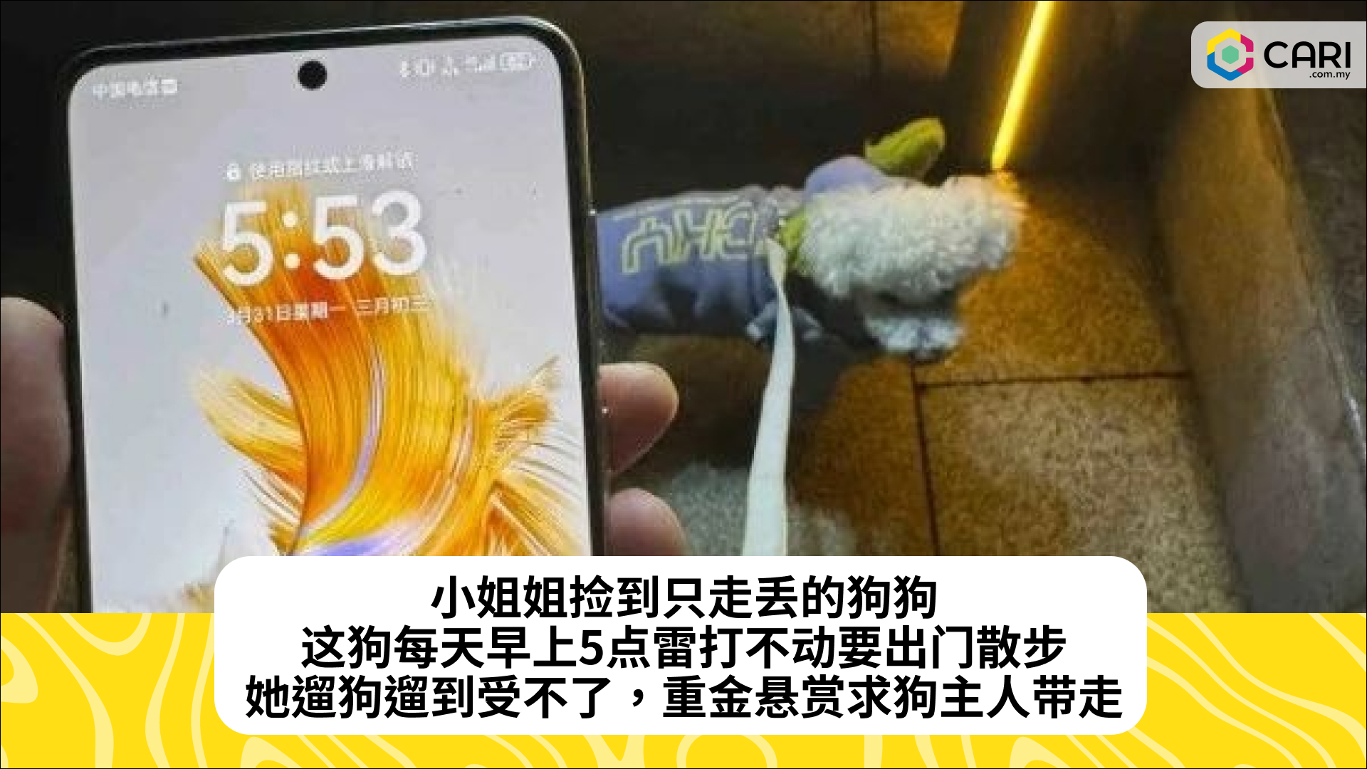 小姐姐捡到只走丢的狗狗，这狗每天早上5点雷打不动要出门散步，她遛狗遛到受不了，重金悬赏求狗主人带走