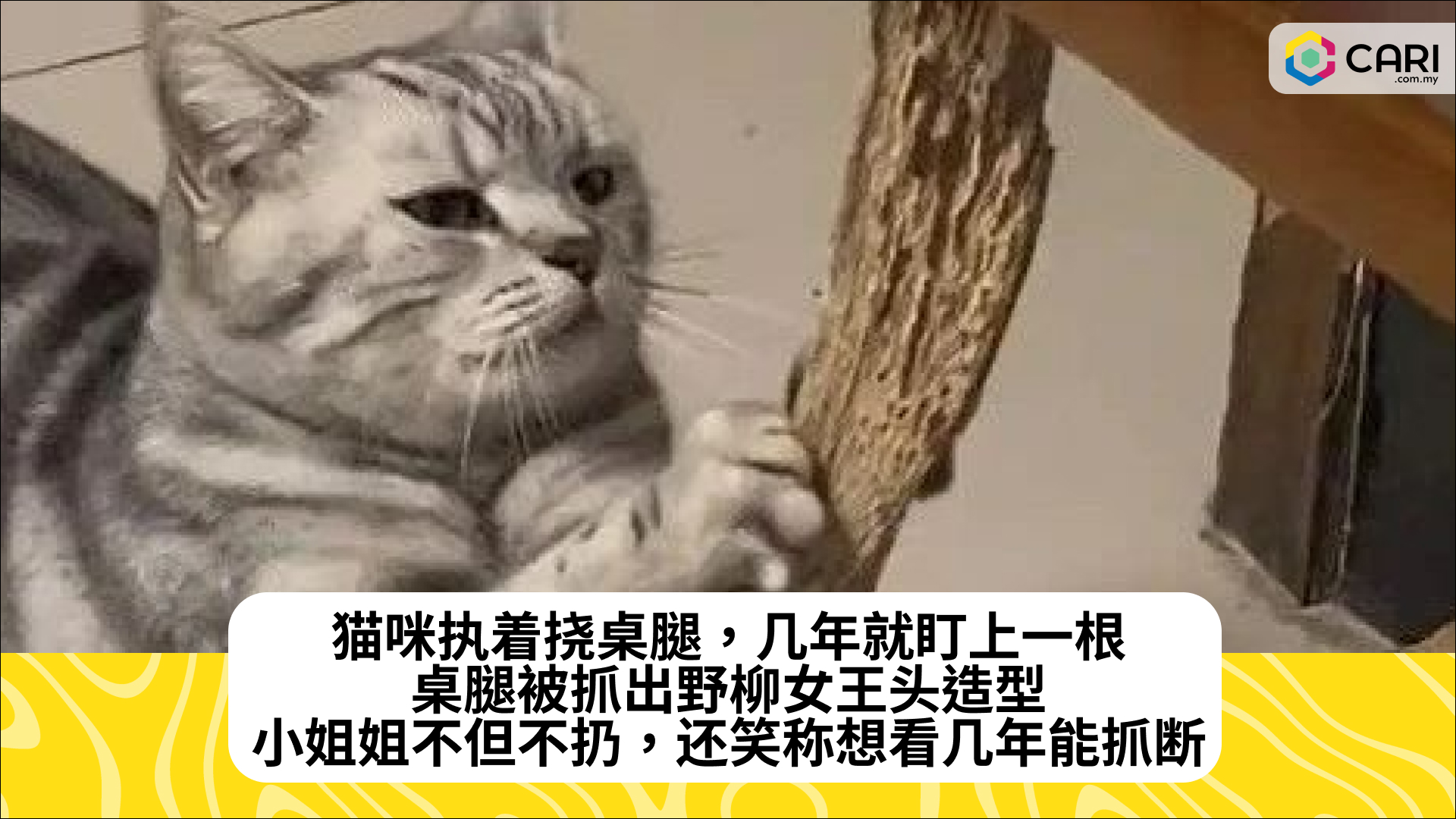 猫咪执着挠桌腿，几年就盯上一根，桌腿被抓出野柳女王头造型，小姐姐不但不扔，还笑称想看几年能抓断