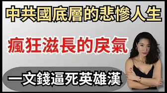 四川宜賓800哥到底是張獻忠還是英雄漢？中國人的極端與戾氣從何而來｜中國底層小人物的悲哀