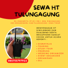 Rental HT Tulungagung Murah, WA 085755797923