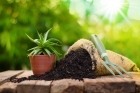 Organic Fertilizer Manufacturing Plant Project Report 2024