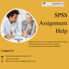 Unlocking Your Potential: SPSS Assignment Help Simplified