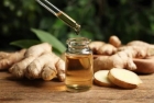 Ginger Oil Manufacturing Project Report, Plant Layout, Cost and Requirements