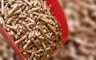 Biomass Pellets Manufacturing Plant Project Report 2024: Business Plan