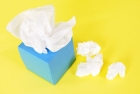 Tissue Paper Manufacturing Plant Project Report 2024