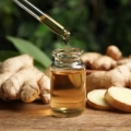 Ginger Oil Manufacturing Plant Project Report