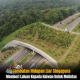 Animal Crossing Singapura – Jambatan Hidupan Liar Pertama di Asia Tenggara