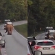 Ibu Gajah Kembali Ke Lokasi Kemalangan Cari Anak