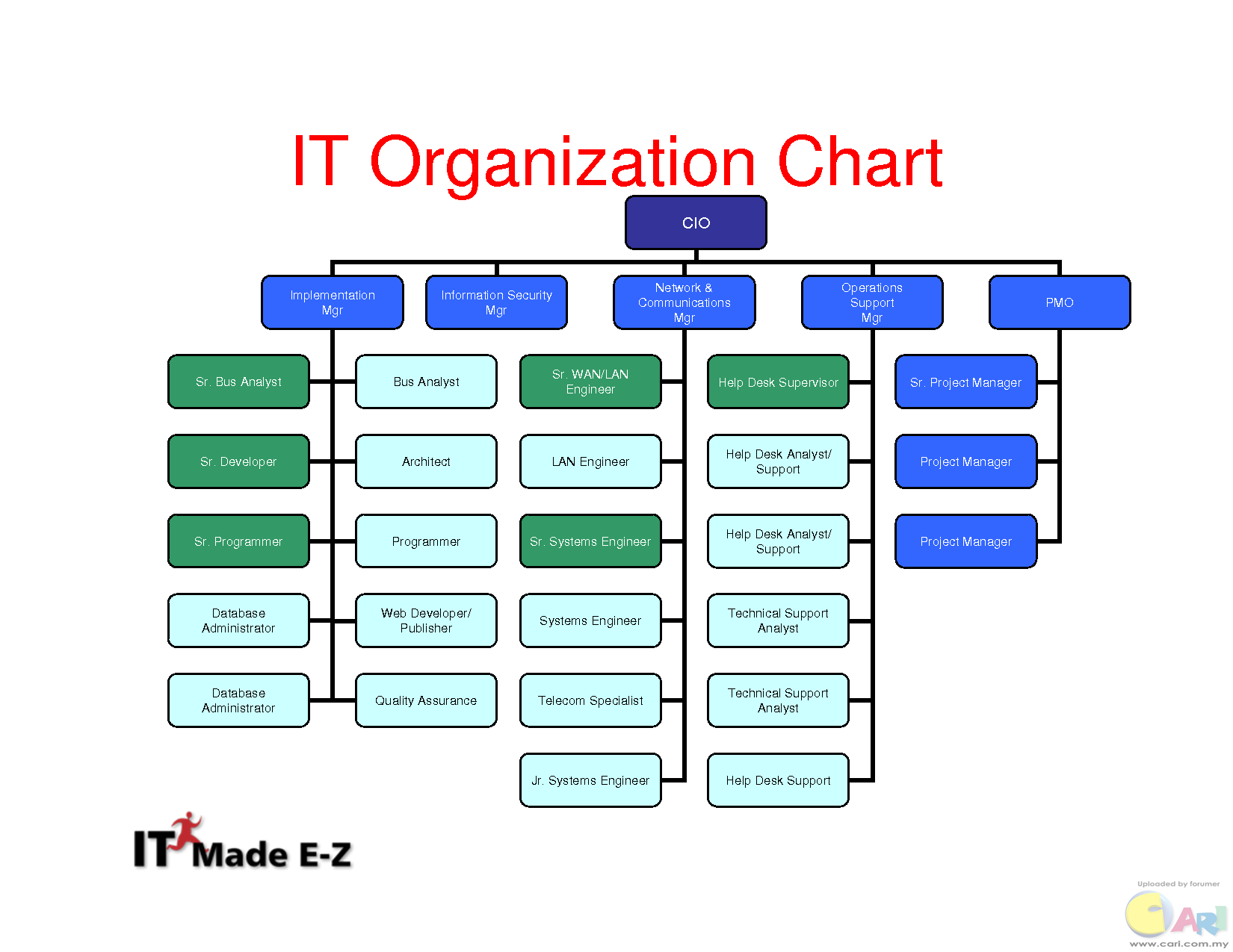 A chart showing. Организационная диаграмма. Организационный чарт. Organizational Chart пример. It Department structure.