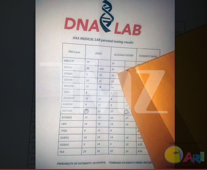 0306-dna-bogus-paper-wm-1.jpg