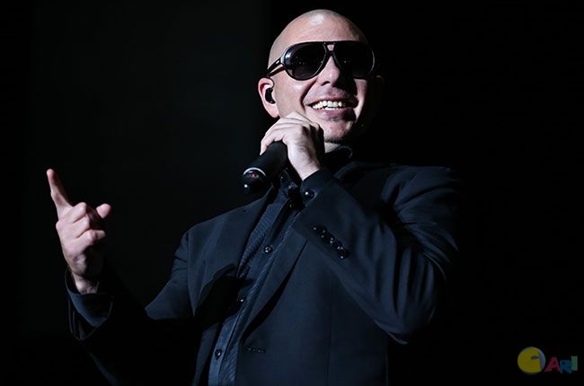 pitbull-650-430_0.jpg