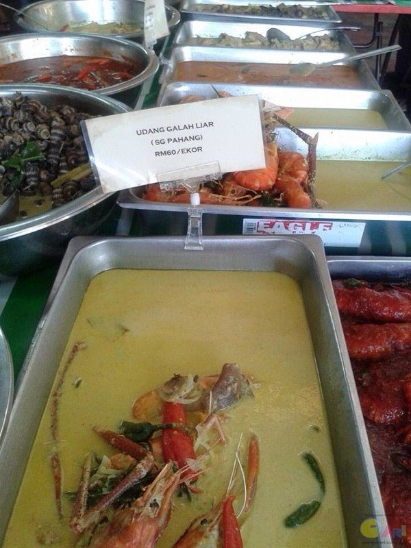 udang.jpg