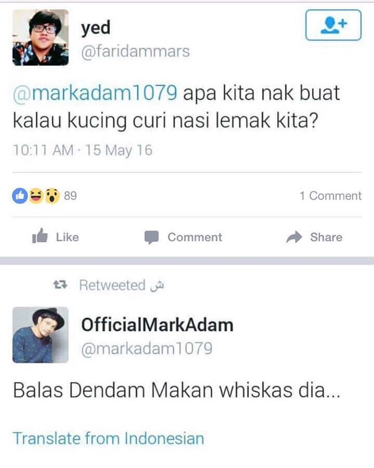 Apa nak buat kalau kucing curi nasi lemak kita? Mark Adam retweeted lawak