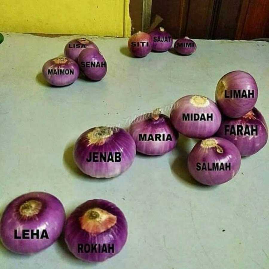 Kenapa Pompuan Melayu Sinonim dengan Bawang