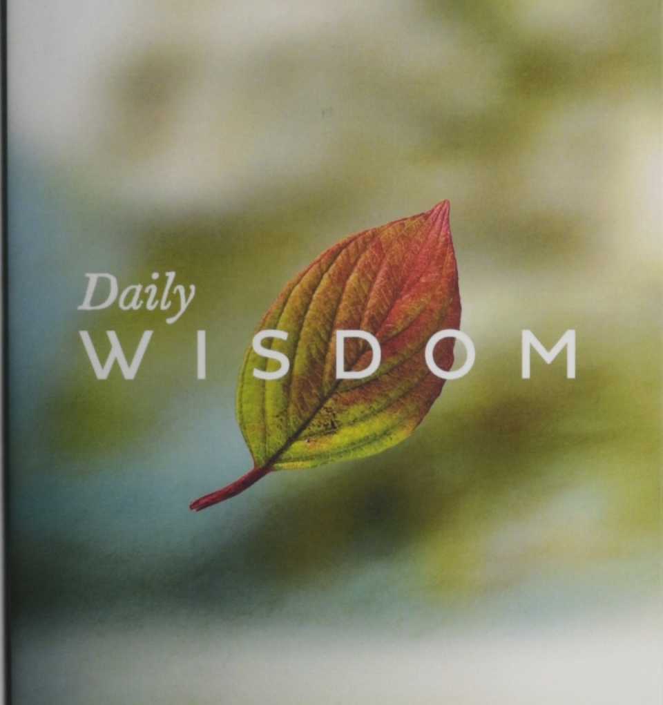 DAILY WISDOM TO YOU - YOU CAN