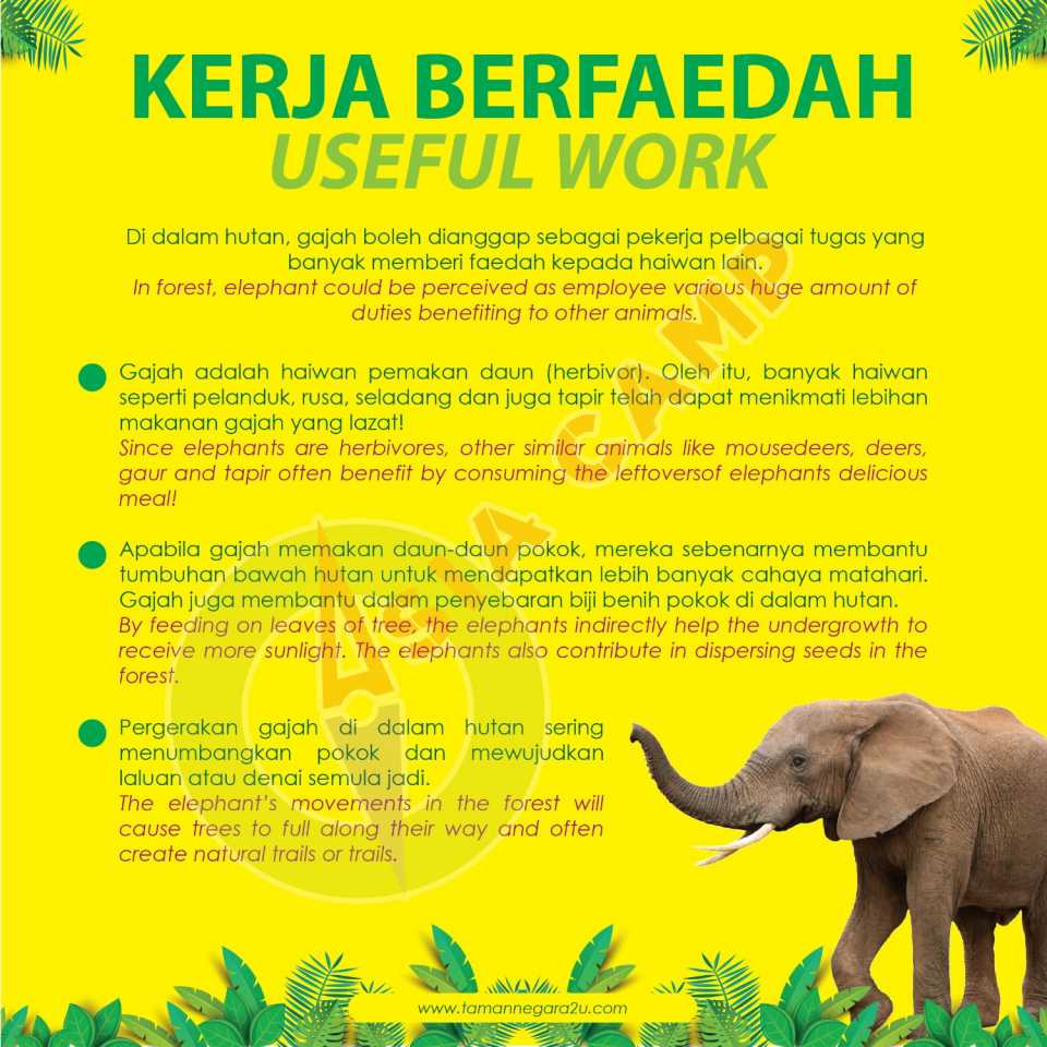 Elephant-Kerja-Berfaedah-01.jpg