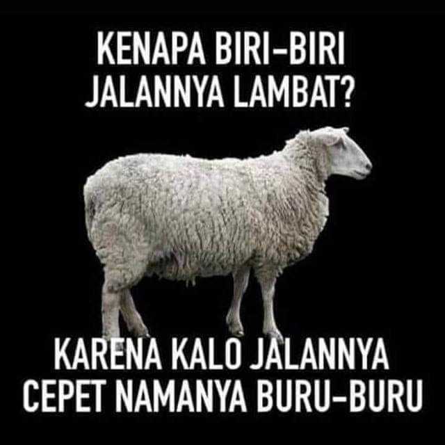 Kenapa Biri Biri Jalan Lambat? - Lawak & Jenaka - Lawak ...