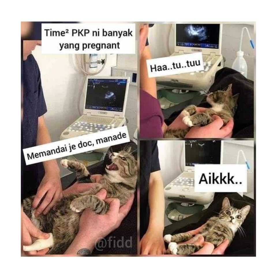 Tak Sangka Mengandung Time PKP