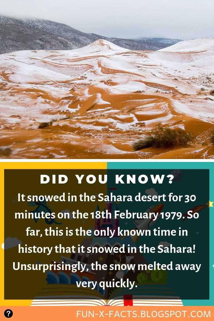 amazing-interesting-random-facts - 2019-05-23T032916.960.jpg