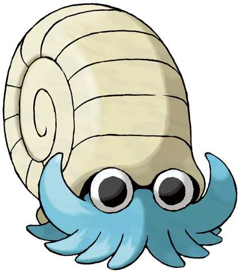 omanyte.jpg