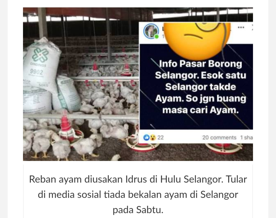 Gempar : Esok tiada ayam di Selangor.Jadi jangan buang masa cari ayam esok