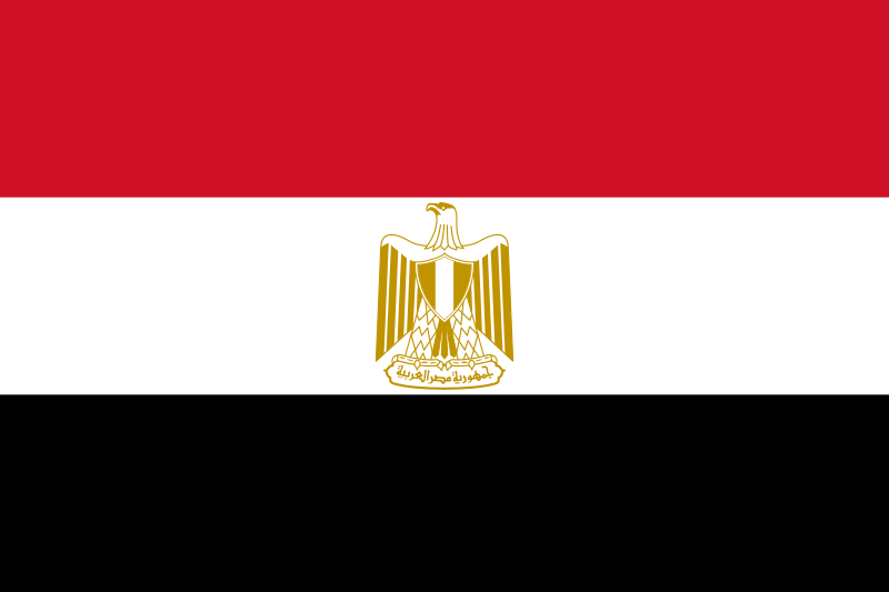 Flag_of_Egypt.svg.png