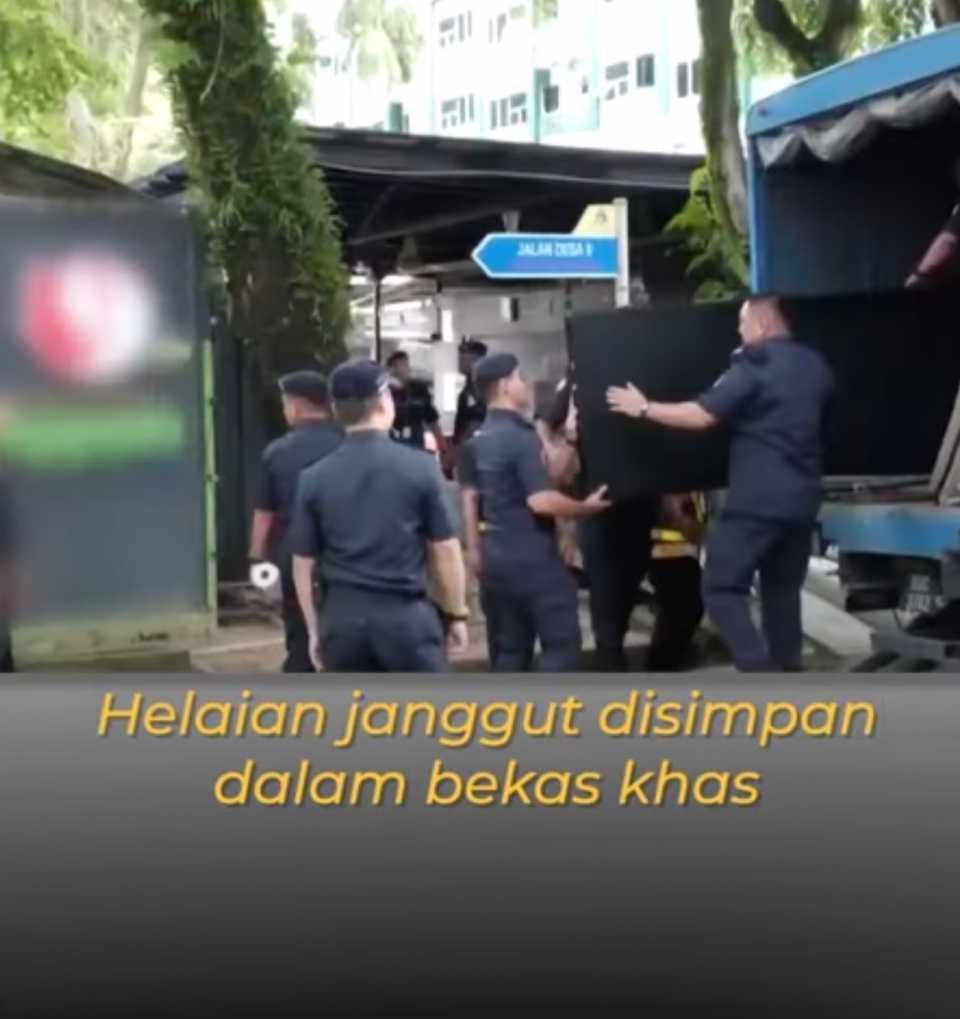 Isu KKMart, yahudi, islam terancam kemain menyalak! Sedap ke minum air bulu puak Abuya tu? Kah kah kah