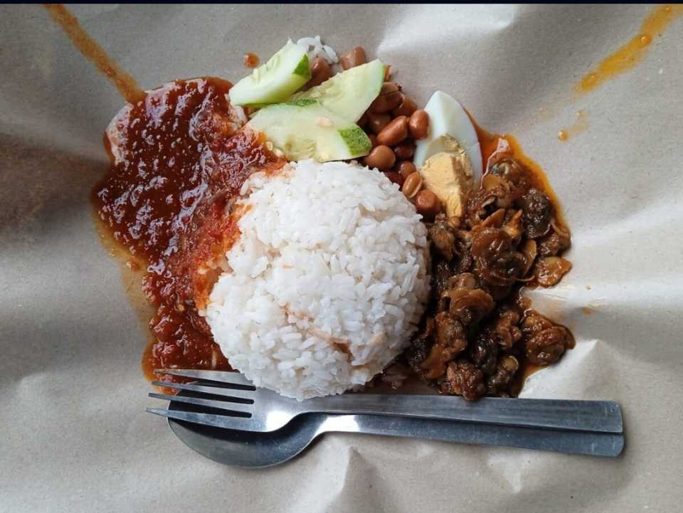 Mengapa terdapat netizen tidak setuju kenyataaan Penulis Australia Anggap Nasi Lemak Sarapan Paling Sempurna?