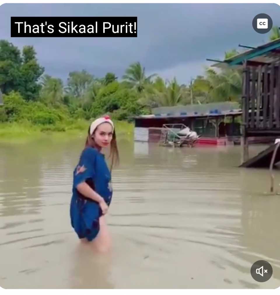 Netizen terkejut wanita angkat kain paras paha semasa banjir