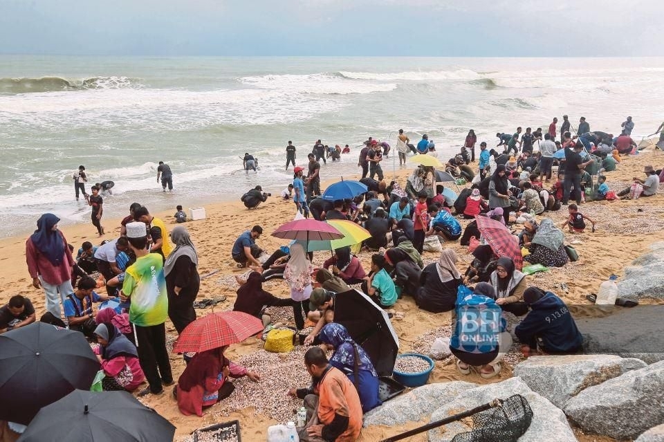 Polis minta orang ramai henti aktiviti kutip kerang di Pantai Sura