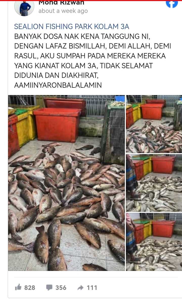 Pemilik Kolam Memancing Reda, Kolam Diracun Buat Kali Ke-21!Apa yang berlaku?