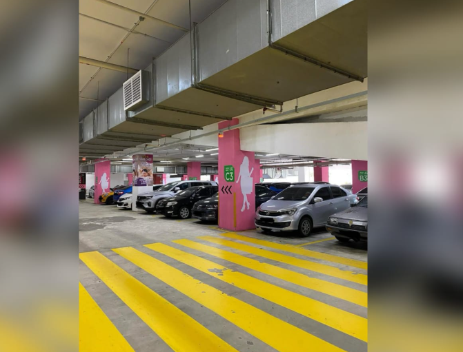 Kalau bawa awek mana boleh parking kereta di zon pink!