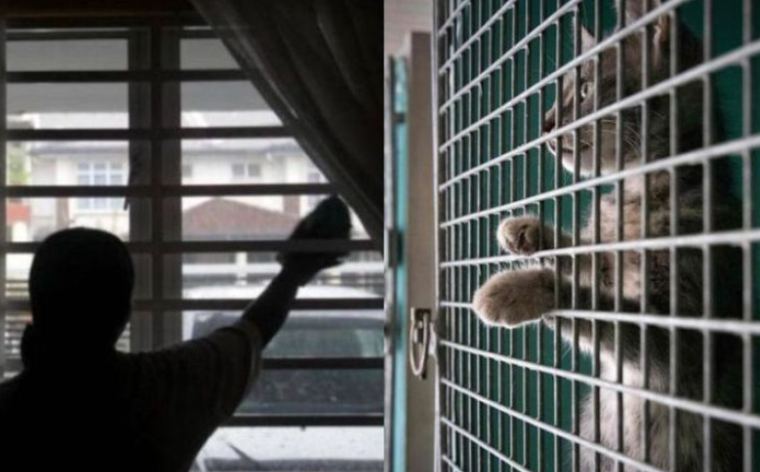 Hari-hari sedut bau tahi kucing jiran, nak buat tembok takut gaduh pulak!