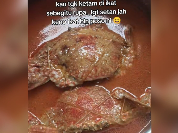 Beli gulai, ketam masih terikat dengan getah dalam kuah