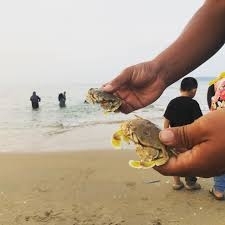 Cuti hujung minggu je tak cukup jika ke Terengganu… Ini 6 aktiviti wujudkan ‘bonding’ bersama keluarga