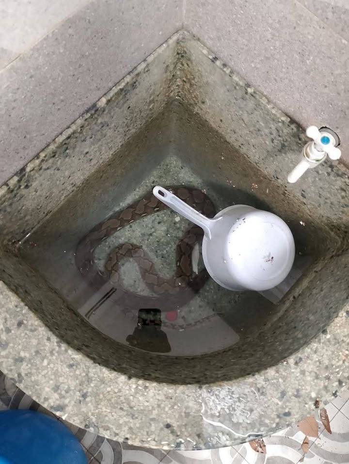 Mohon hati-hati kalau bilik mandi ada kolah air macam ni..