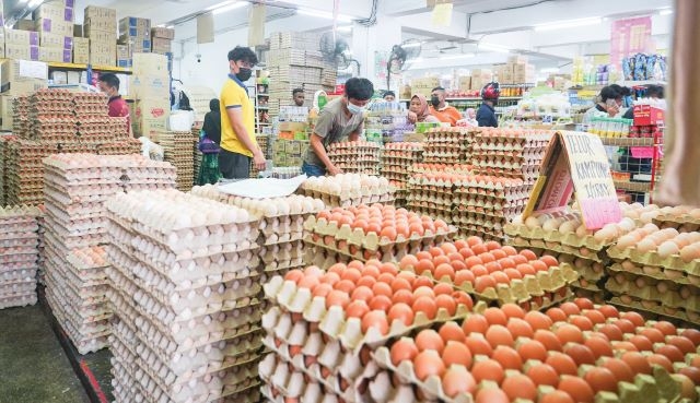 Subsidi telur ayam dikurangkan 50 peratus mulai esok, tamat sepenuhnya 1 Ogos