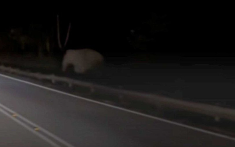 Bukan tak mahu pasang lampu jalan, rupanya ini sebab laluan Gerik-Jeli terus bergelap