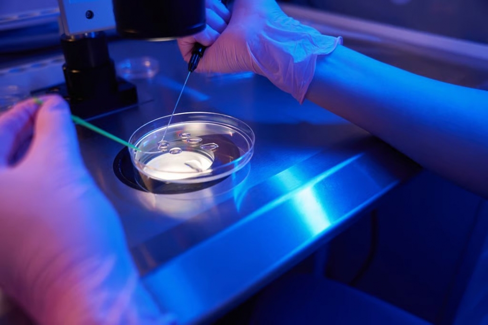 Hospital disiasat tawar IVF untuk wanita bujang