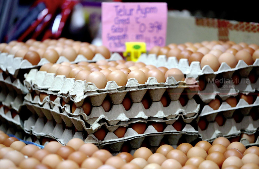 Harga telur di Malaysia paling murah