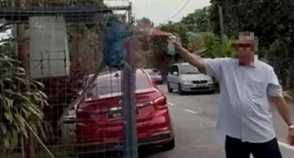 Lelaki Sembur Cat Ke Badan Monyet Sudah Ditahan