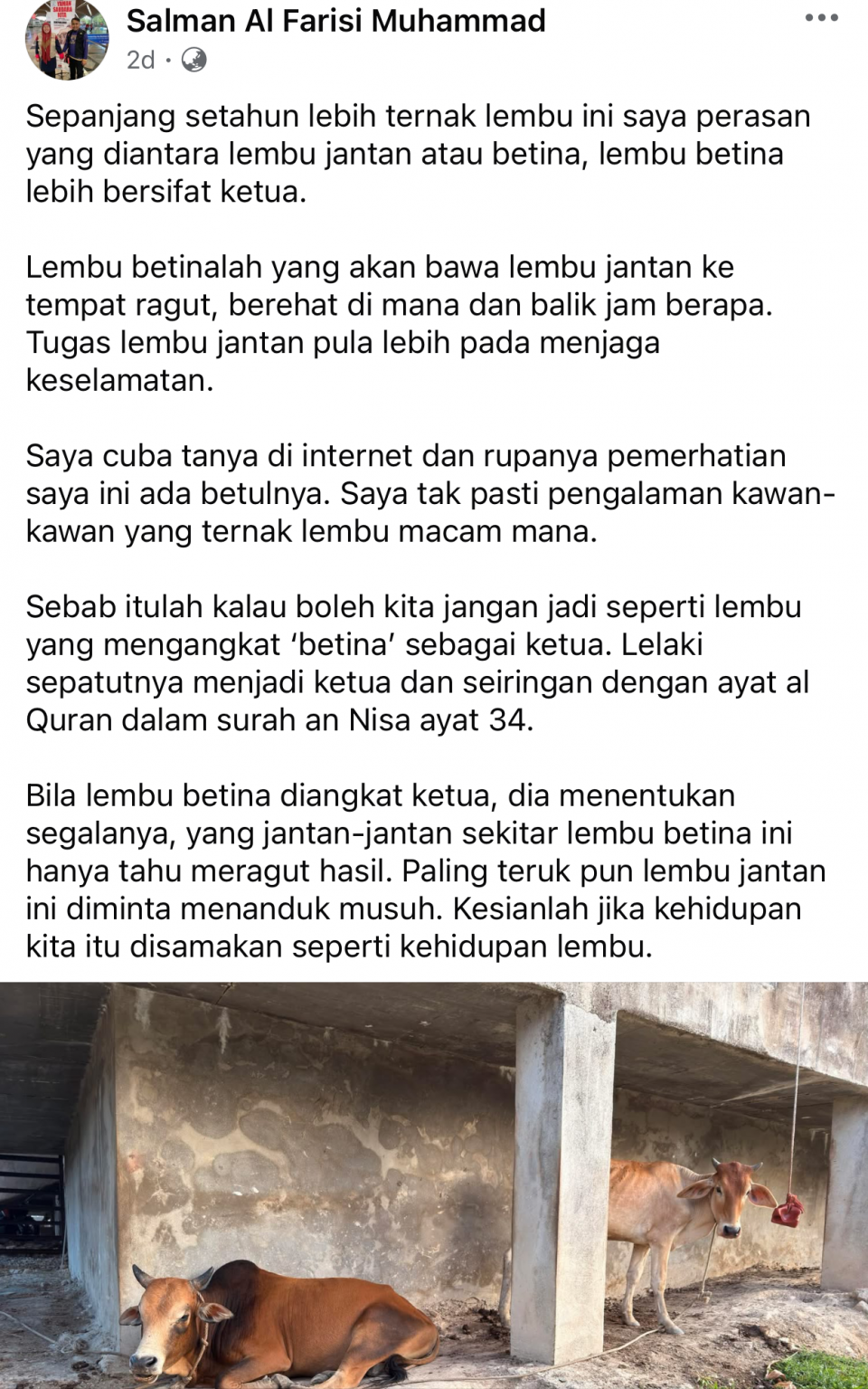 Pemimpin wanita diibarat lembu betina