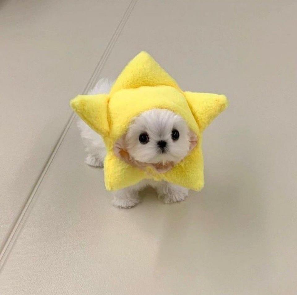 VVVVVVVVVVVVVVVVVVVVVVVVVV