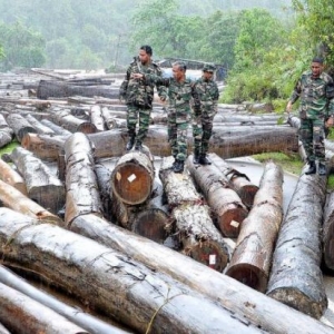 Lambakan Kayu Balak Punca Terputus Hubungan Darat