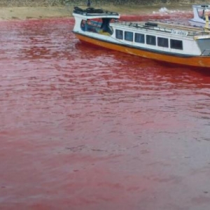 Air Laut Di Maluku Bertukar Warna Merah Darah